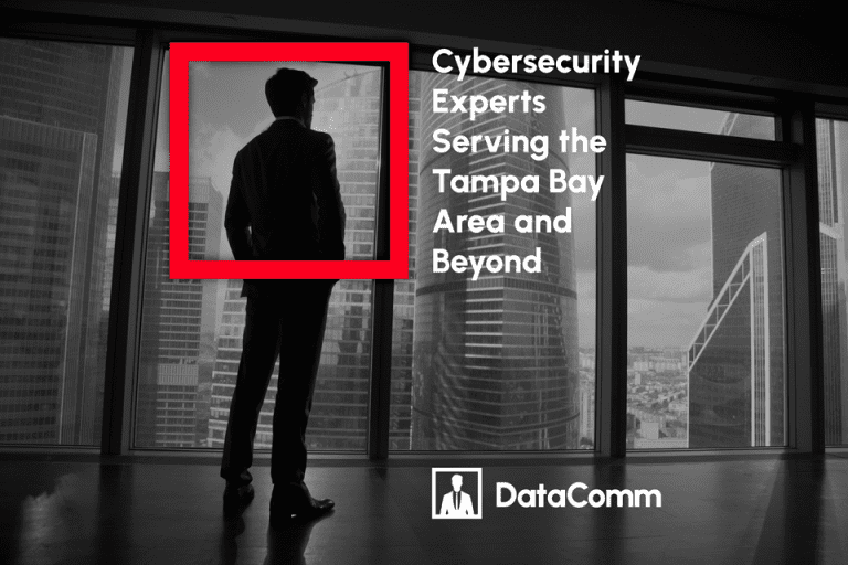 Cybersecurity Experts Serving the Tampa Bay Area and Beyond